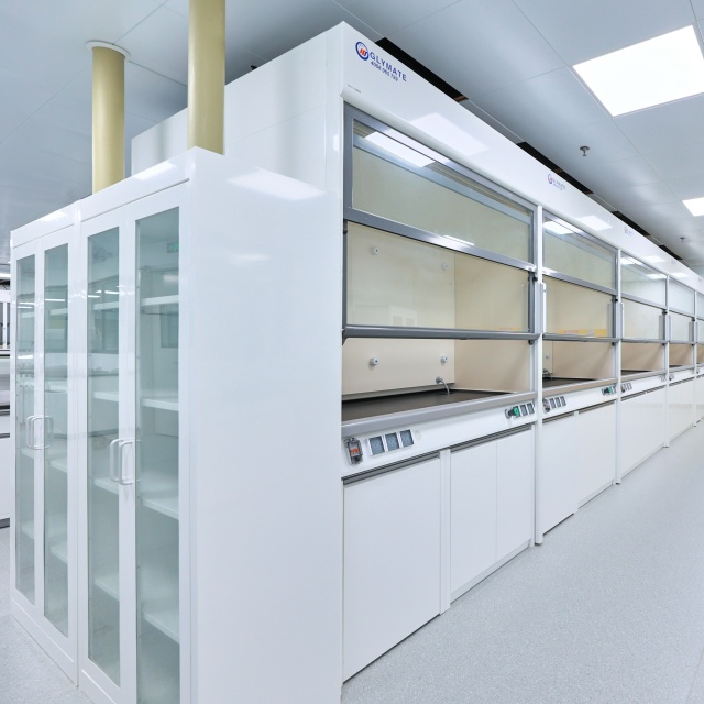 Lab Chemical Reagent Cabinet