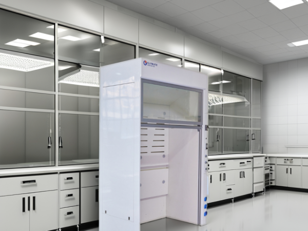 Lab Walk in Fume Hood